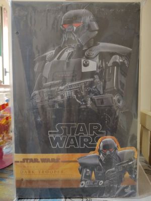 Hot Toys - Action figure Dark Trooper - 2010-2020 - China | Catawiki