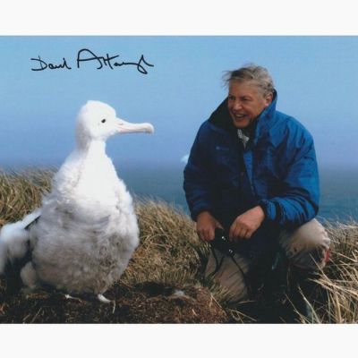 TV and Documentary Legend - Signed by Sir David Attenborough | Catawiki