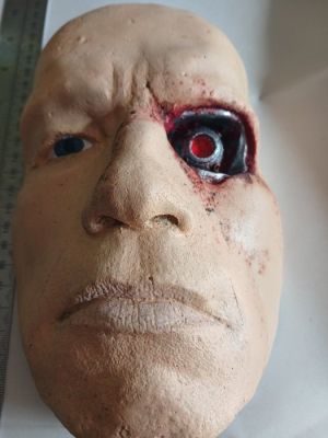 Terminator 1/1 face - schwarzenegger | Catawiki