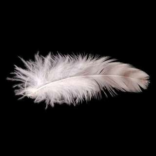 Forrest Gump (1994) | Forrest Gump’s (Tom Hanks) Feather | Propstore