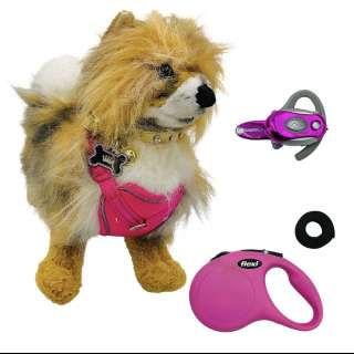 Everything Everywhere All at Once Debbie the Dog Mom (Jenny Slate) Screen Used Stunt Leash, Dog & Ear Piece | VIP Fan Auctions