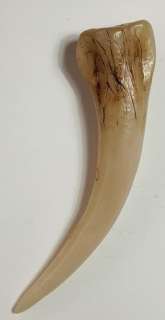 Harry Potter and the Chamber of Secrets (2002) - Basilisk Fang | Hanlin Auction Service