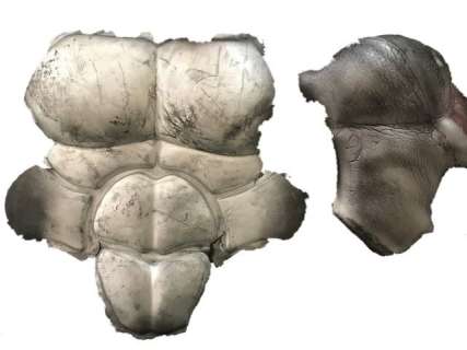 Man of Steel Superman Suit Armor | Premiere Props