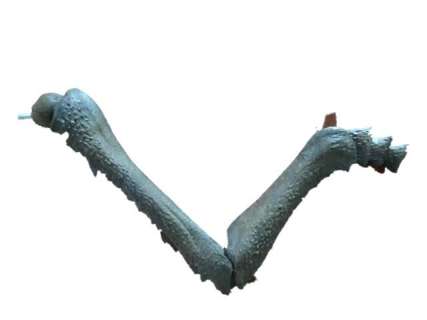 Starship Troopers Bug Leg Movie Props | Premiere Props