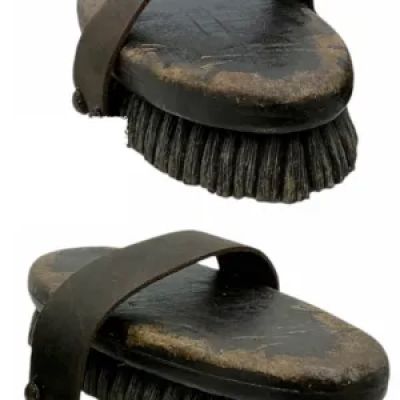 Lot 64: Wuthering Heights Heathcliff (Jacob Elordi) Production Used Horse Brush | VIP Fan Auctions