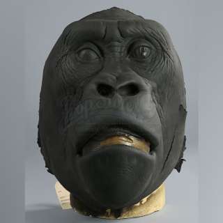 MIGHTY JOE YOUNG (1998) - Lot 183 - Large Ã¢â‚¬ËœBig JoeÃ¢â‚¬â„¢ Head Skin