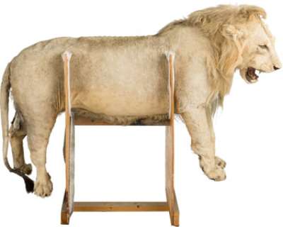 The Ghost and the Darkness (Paramount, 1996), Lion Puppet.