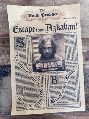 Harry Potter - 18pcs Wizarding World Collectors Lot | Catawiki