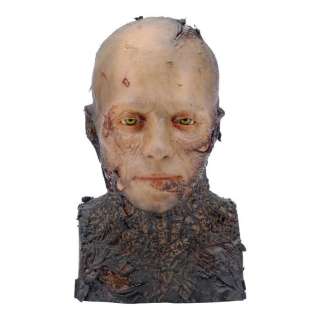 STAR WARS: REVENGE OF THE SITH (2005) - Lot 1577 - Anakin Skywalker (Hayden Christensen) Makeup FX Test Bust Replica