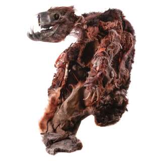The Village (2004) Screen Worn Those We Don’t Speak Of Creature Costume | VIP Fan Auctions