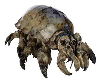 PACIFIC RIM (2013) - Lot #290 : Kaiju Skin Mite