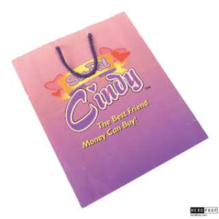 The 6th Day - The 6th Day (2000) – Adam Gibson’s (Arnold Schwarzenegger) SimPal Cindy Bag