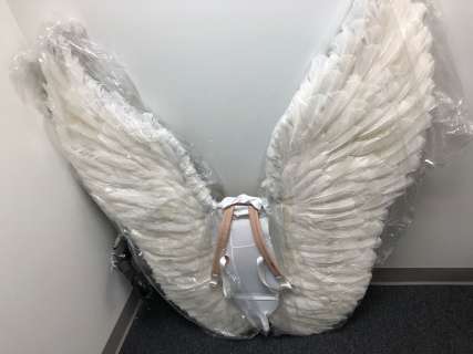The American Horror Mystery-Thriller Show | White angel wing costume | Direct Liquidation