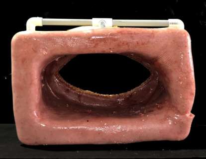 Lot 71 - The Good Doctor - Flesh Tunnel - 15in H x 16in x 11in - screen used