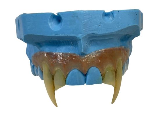 Lot 85 - Dark Shadows (2012) - Barnabas Collins (Johnny Depp) Fangs Appliance | Hanlin Auction Service