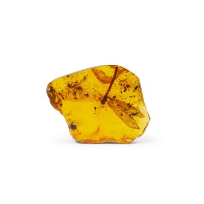 Lot 21 - The Dragonfly in Amber prop Season 1, Episode 8, ’Both Sides Now’, Season 2, Episode 13, ’Dragonfly in Amber’, and Season 3, Episode 1, ’The Battle Joined’ | Bonhams