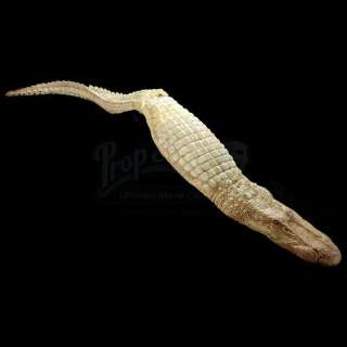 ANNIHILATION - Lot 15 - Full Body Stunt Albino Alligator