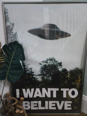 X files - X-Files - X-files | Catawiki