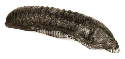 Alien vs. Predator Xenomorph Head Prop. | Van Eaton Galleries