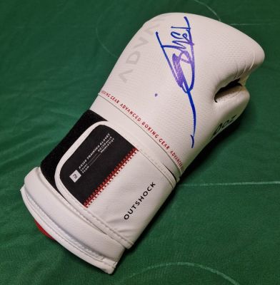 Torino Film Festival - Dolph Lundgren - 2025 - Boxing glove | Catawiki