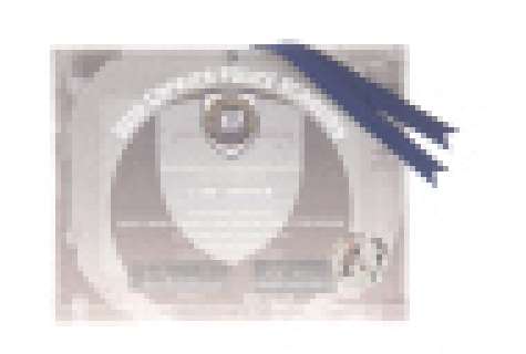 Battlestar Galactica - Lot #1907 - BSG Caprica Police Acad Grad Certif L Snedden