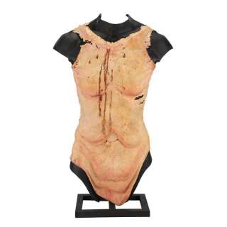 PAN‘S LABYRINTH (2006) - Lot 283 - The Pale Man‘s (Doug Jones) Screen-matched Torso