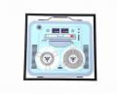 New Girl - Lot 510 - Winston‘s Recorder Framed Print