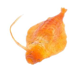 Star Trek III: The Search for Spock - "Genesis Planet" Microorganism | ScreenUsed