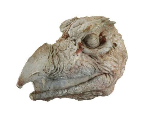 THE DARK CRYSTAL (1982) - Lot #103 : Production-Made SkekSil the Chamberlain (Frank Oz) Puppet Head Reference Casting