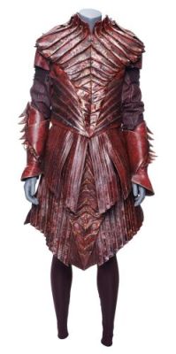 Star Trek: Discovery (Tv Series, 2017-2024) | Lot 12: House of T’Kuvma Guard Red Costume | Propstore