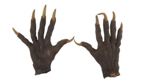 Underworld: Screen used Lycan Hands Movie Props | Premiere Props