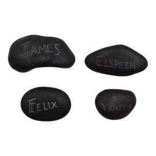 Saltburn Production Used Felix Stone, Elspeth Stone, Sir James Stone & Venetia Stone | VIP Fan Auctions