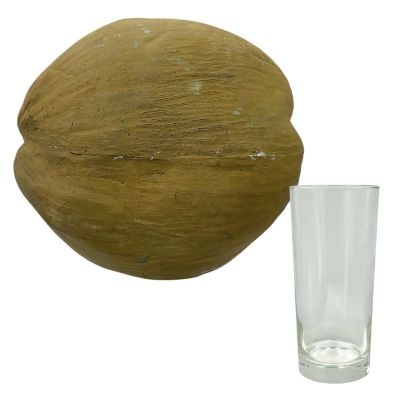 Blink Twice Sarah Screen Used Glass & Stunt Coconut | VIP Fan Auctions