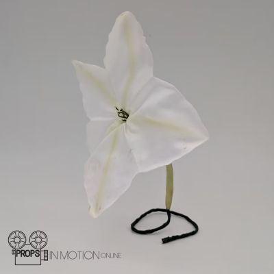 The Haunting of Bly Manor (2020) Jamie (Amelia Eve) Moonflower (02824) | Props In Motion Online