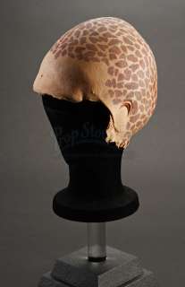 ALIEN NATION - Tenctonese Newcomer Head Appliance