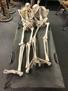 3 White bleached skeletons & two folding cots from the popular sci-fi tv series from the popular sc | Direct Liquidation