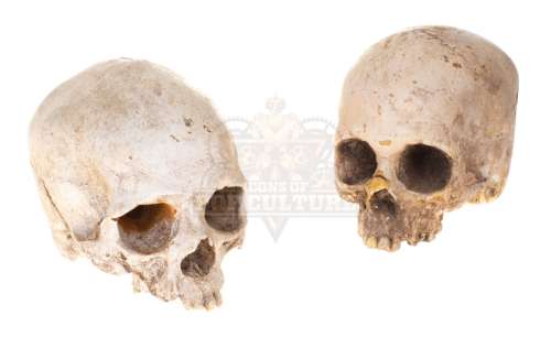 Pirates of the Caribbean: Dead Man’s Chest - Cannibal Island Skulls - A1 | Icons of Pop Culture