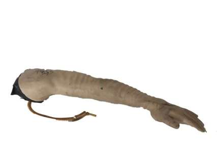 Star Trek: The Next Generation TV(1987) Data (Brent Spiner) Severed Arm Movie Props | Premiere Props