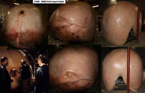 Lot 63 - Brenda - James Gun‘s Slither - World‘s largest Prosthetic - Located in US