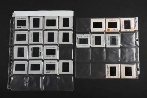 Alien & Aliens Collection Auction | 23 Colour Slides | Propstore