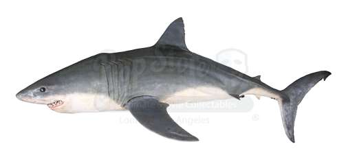 Unknown Production | Life-Sized Rubber Shark | Propstore