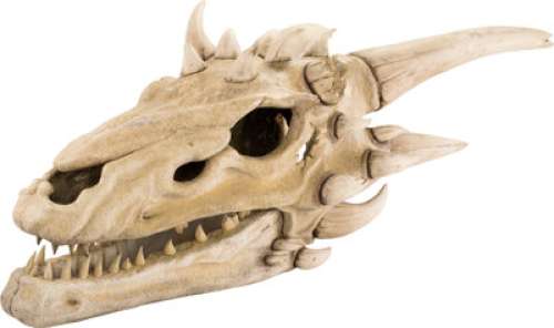 Dragon Skull from Game of Thrones (HBO® Original 2011-2019, Season 7). | Heritage