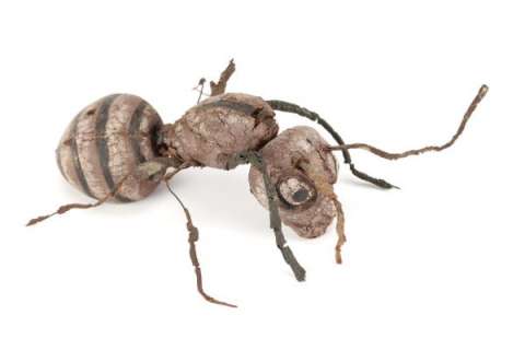 Lot 658 - Zanti Misfit Alien creature from The Outer Limits