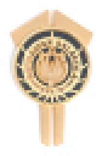 Battlestar Galactica - Lot #1686 - BSG Lee ‘Apollo’ Adama Dress Uniform Pin