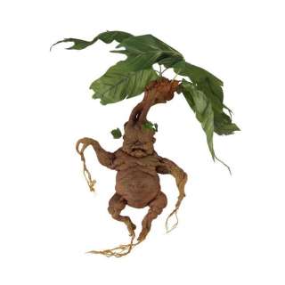 HARRY POTTER AND THE CHAMBER OF SECRETS (2002) - Lot #175 : Mandrake