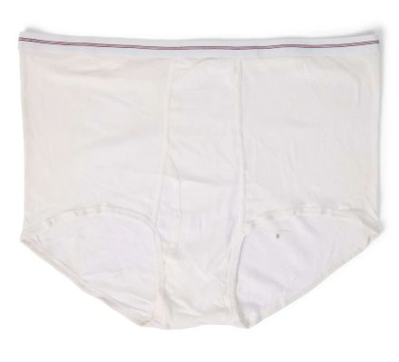 Paul Reubens | Lot 182 - Production-Used Giant Underpants | Julien’s