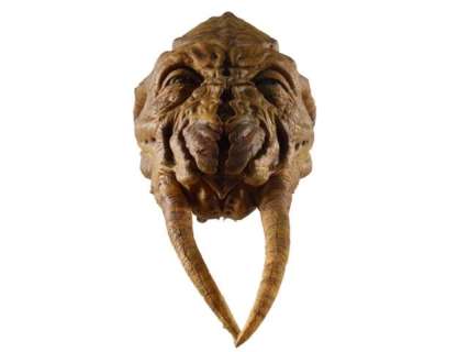 Falling Skies Skitter Head Movie Props | Premiere Props