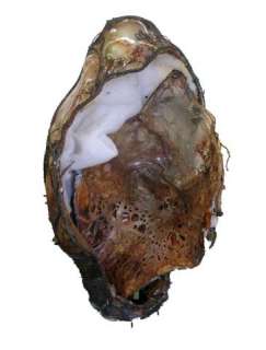 Lot 217 - Falling Skies Season 4 Espheni Cocoon Movie Props