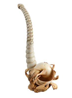 PIRATES OF THE CARIBBEAN: DEAD MAN‘S CHEST (2006)/PIRATES OF THE CARIBBEAN: AT WORLD‘S END (2007) - Lot #1030 : Davy Jones‘ (Bill Nighy) Pipe Concept Model