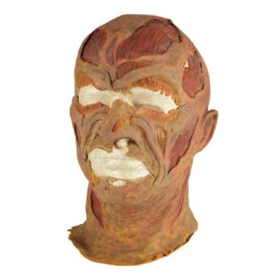 Wes Craven’s New Nightmare (1994) | Lot 260 : Tony Cecere-Autographed Freddy Krueger Stunt Mask | Propstore